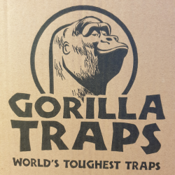 Lot de 5 pièges à souris Gorilla Traps réutilisables avec appâts Nara