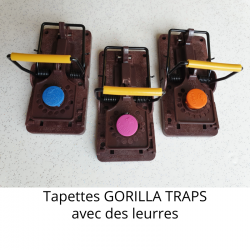 Tapette à souris - Gorilla Trap - Piège à souris